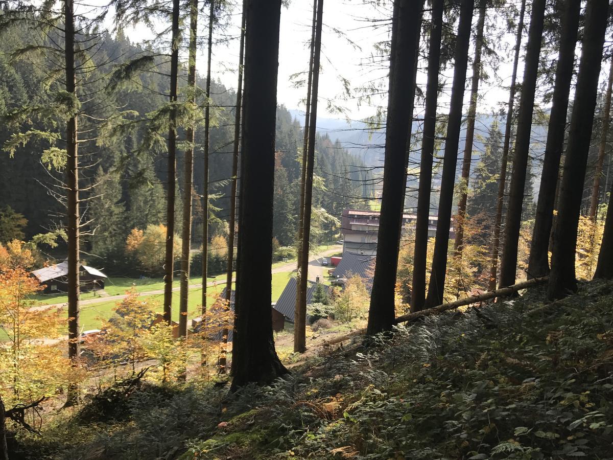 Areal Leskova Villa Velke Karlovice Bagian luar foto