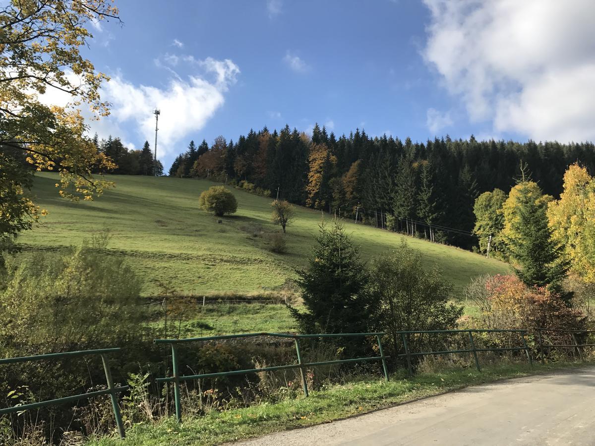 Areal Leskova Villa Velke Karlovice Bagian luar foto