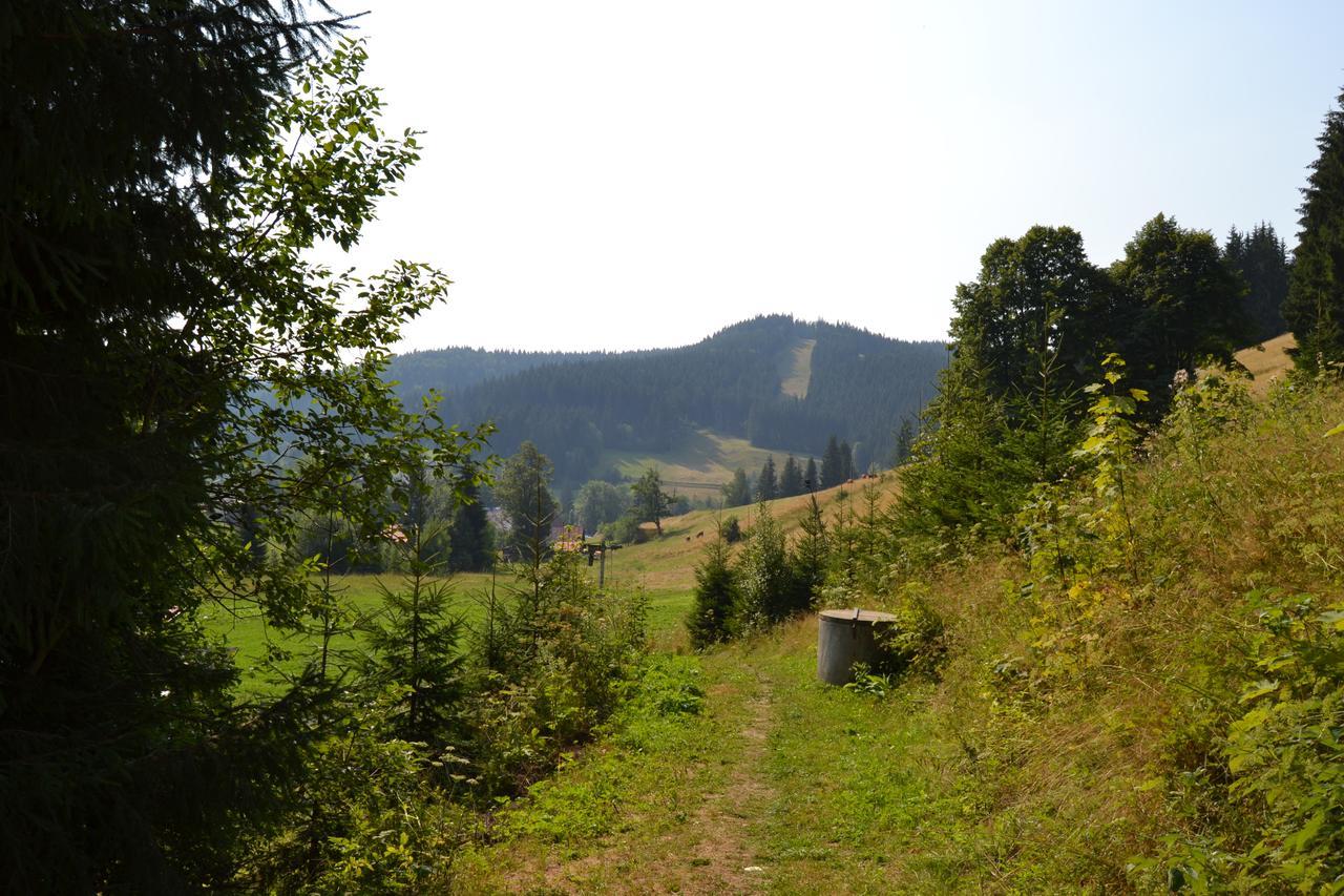 Areal Leskova Villa Velke Karlovice Bagian luar foto