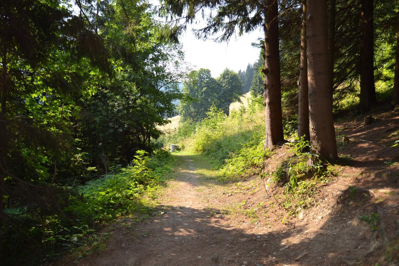 Areal Leskova Villa Velke Karlovice Bagian luar foto