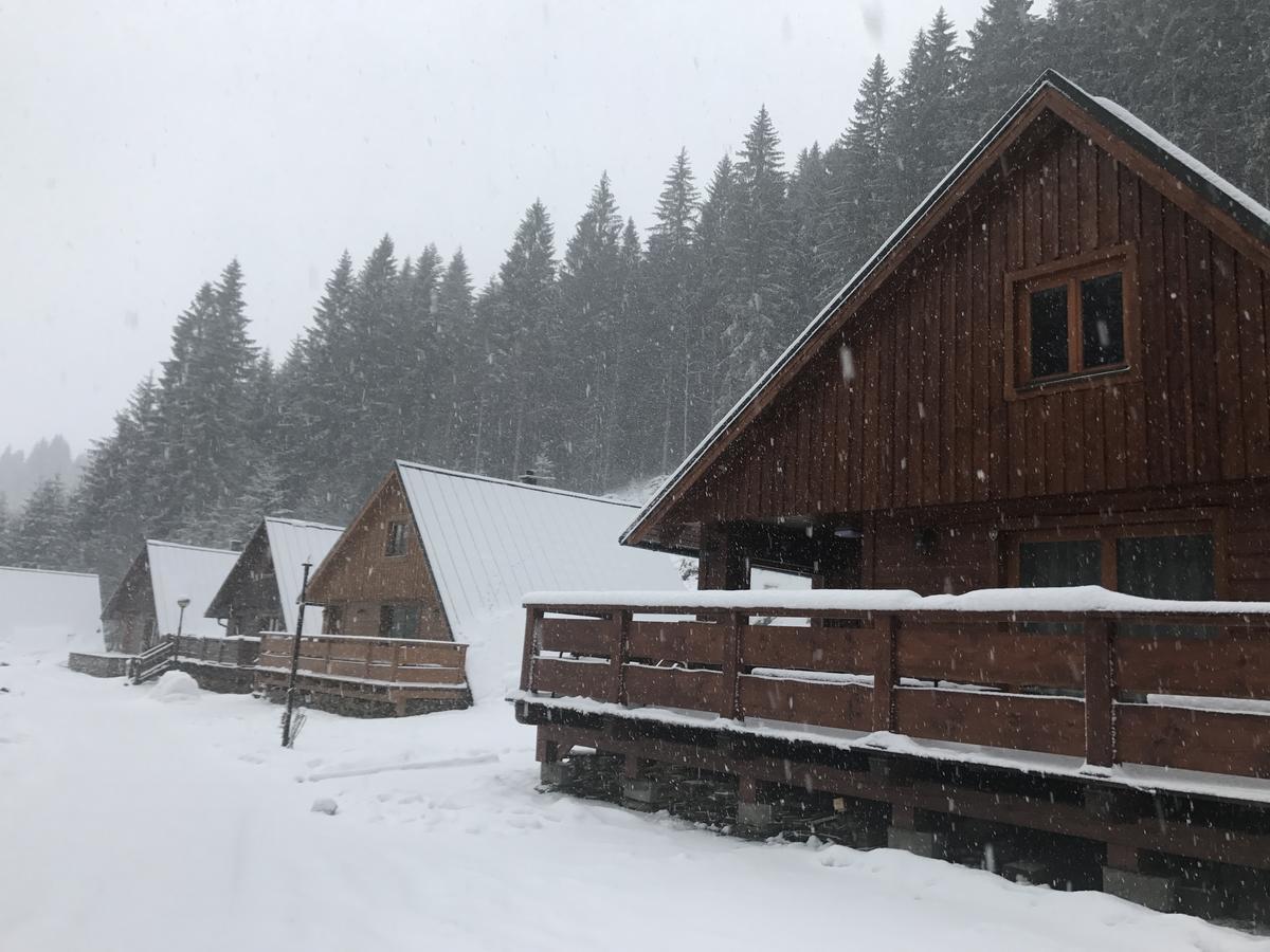 Areal Leskova Villa Velke Karlovice Bagian luar foto