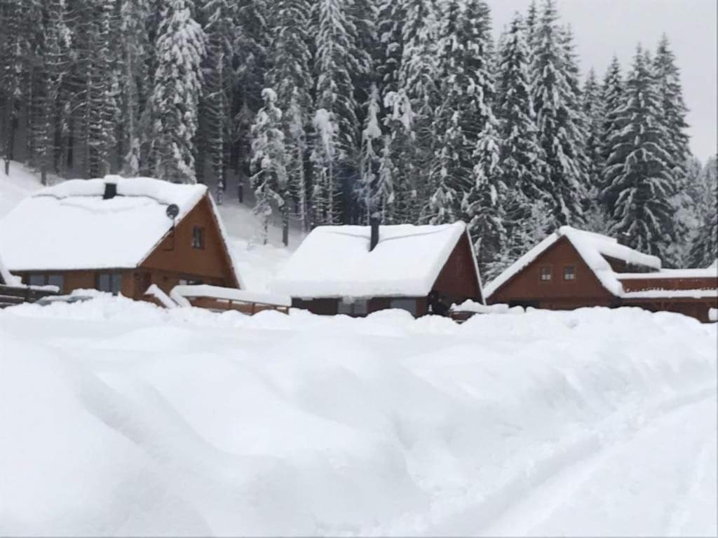 Areal Leskova Villa Velke Karlovice Bagian luar foto