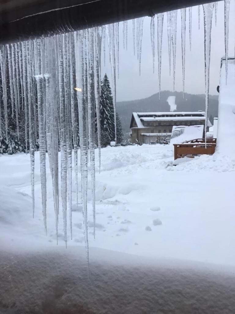 Areal Leskova Villa Velke Karlovice Bagian luar foto