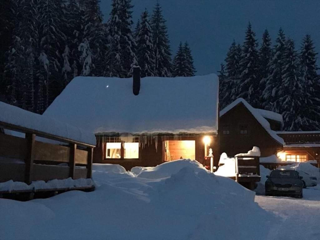 Areal Leskova Villa Velke Karlovice Bagian luar foto